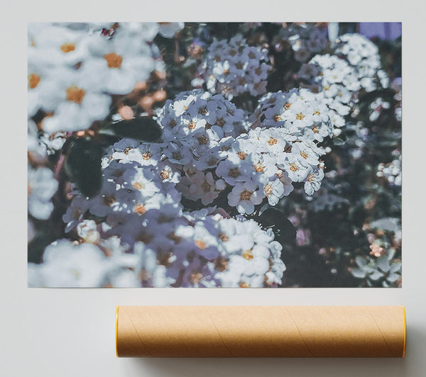 Pale Blooms In Grey Print