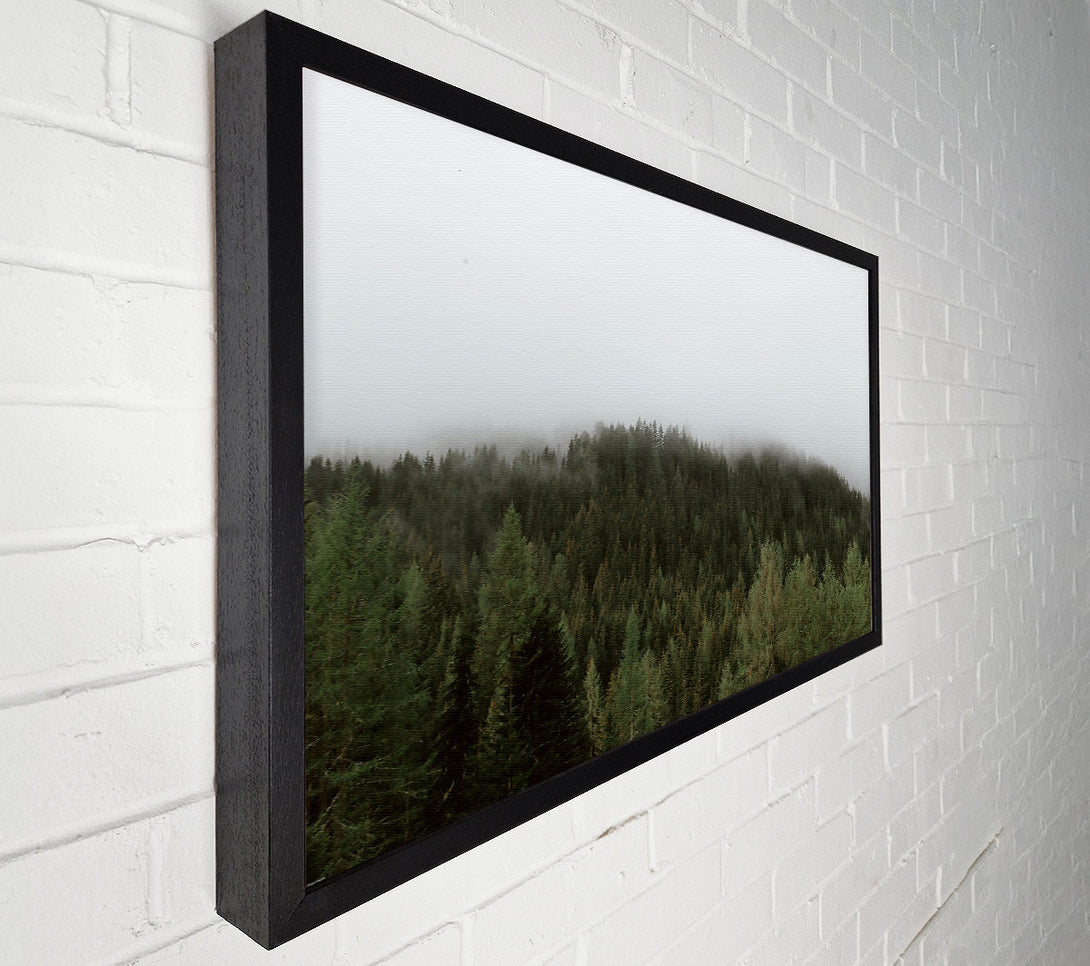  A Canvas Print of Green Foggy Forest Canvas Art