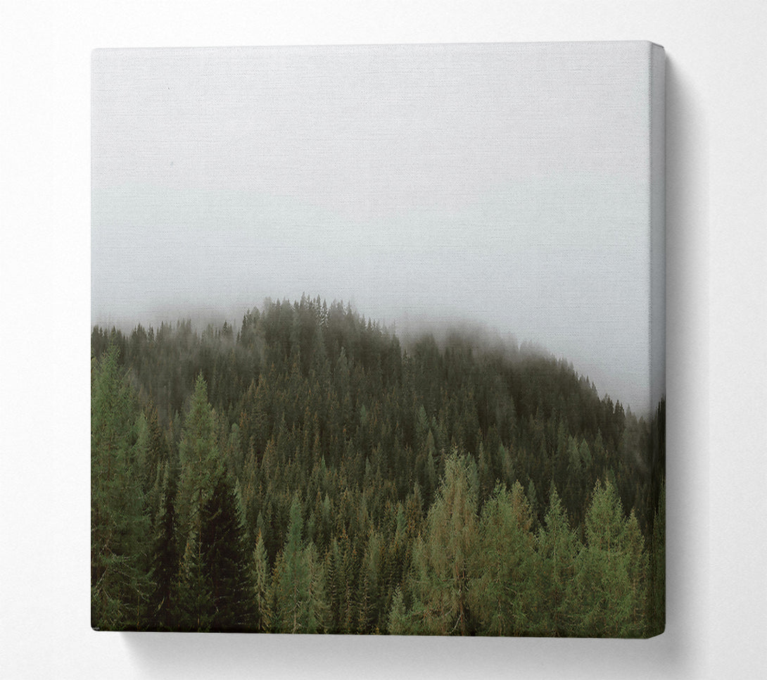  A Canvas Print of Green Foggy Forest Canvas Art