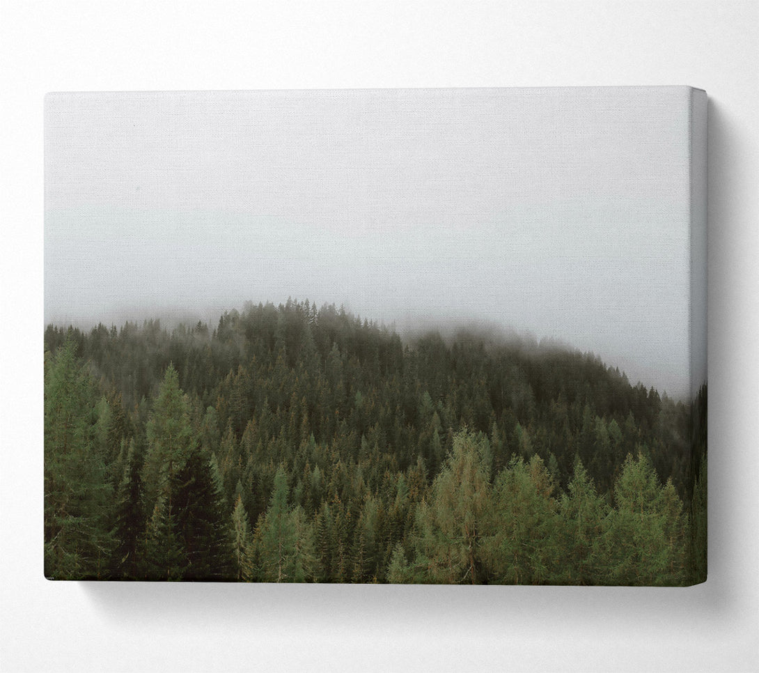  A Canvas Print of Green Foggy Forest Canvas Art