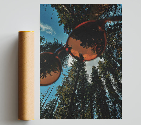 Amber Sky Through Pines Poster