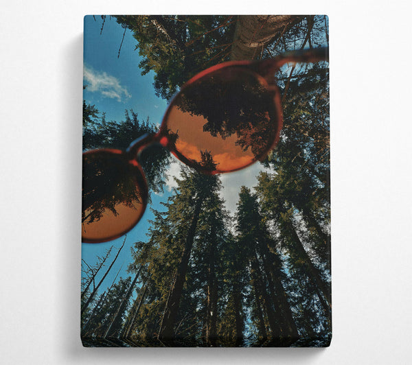  A Canvas Print of Amber Sky Through Pines Canvas Art