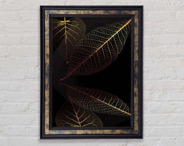 Four Orange And Yellow Leaves Framed Print