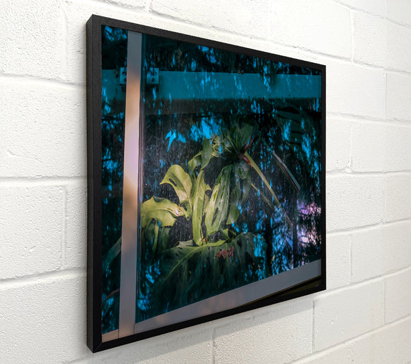 Teal Windowpane Jungle