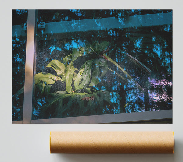 Teal Windowpane Jungle Poster