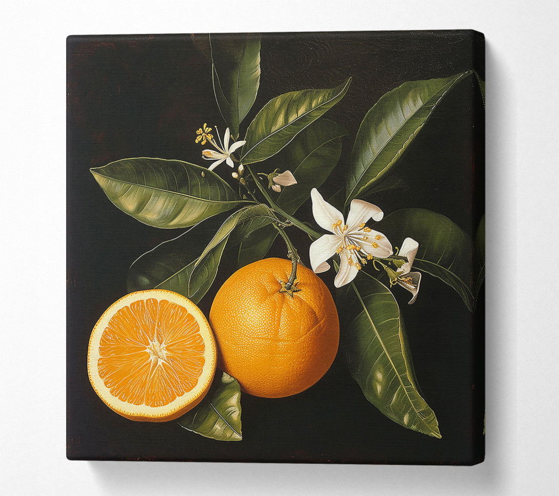  A Canvas Print of Orange Blossom Still Life Canvas Print