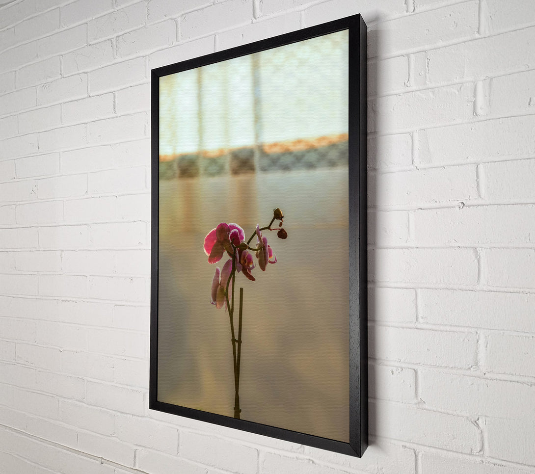  A Canvas Print of Pink Orchid Bloom Canvas Wall Art