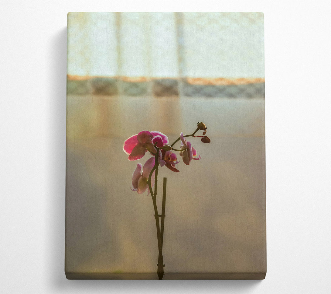  A Canvas Print of Pink Orchid Bloom Canvas Wall Art