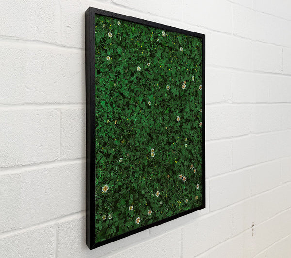 Emerald Clover Field