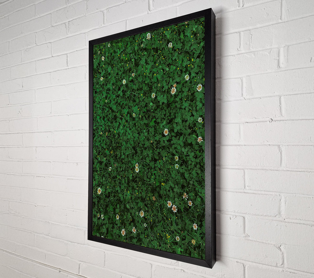  A Canvas Print of Emerald Clover Field Canvas Wall Art