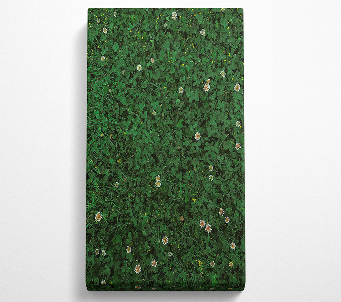  A Canvas Print of Emerald Clover Field Canvas Wall Art