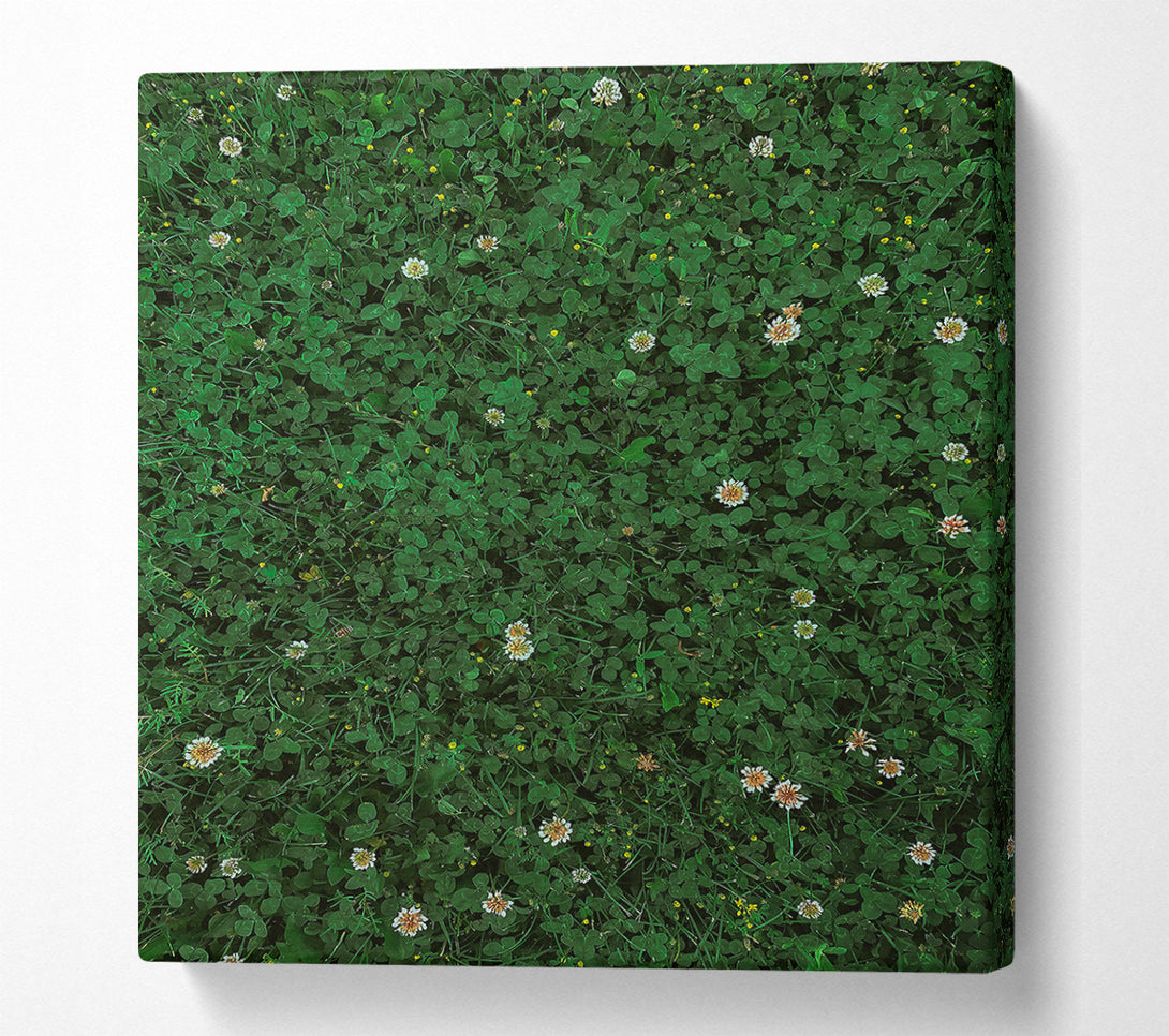  A Canvas Print of Emerald Clover Field Canvas Wall Art
