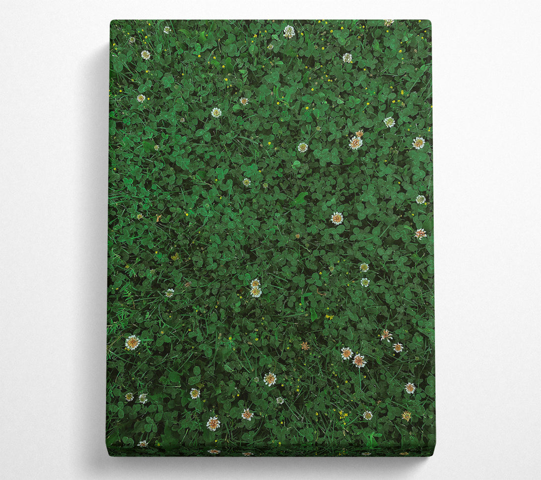  A Canvas Print of Emerald Clover Field Canvas Wall Art