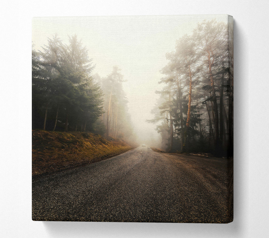  A Canvas Print of Golden Foggy Road Canvas Wall Art