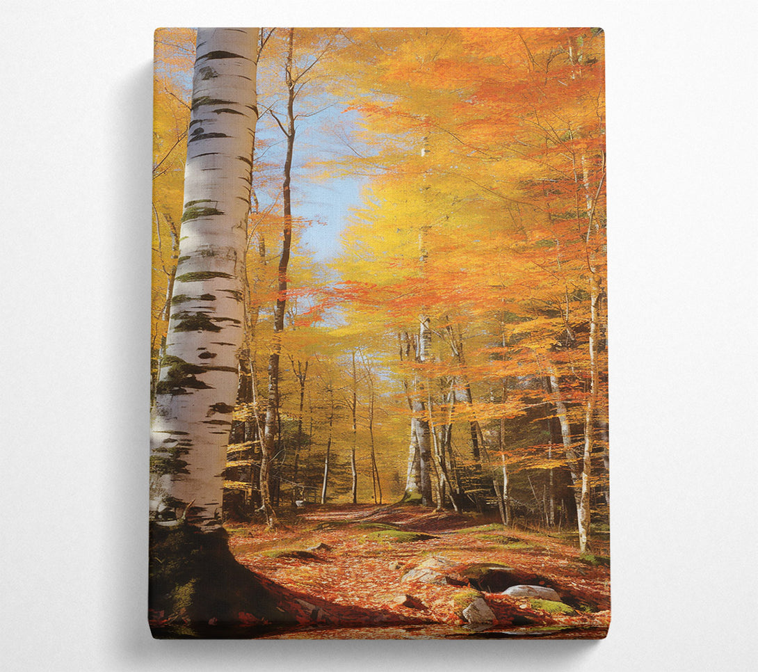  A Canvas Print of Golden Autumn Path Canvas Print