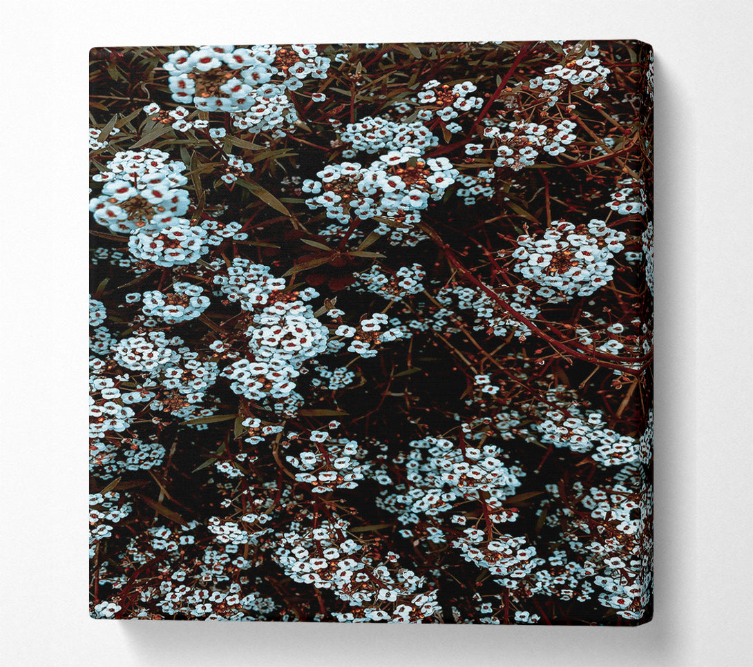  A Canvas Print of Azure Floral Embrace Canvas Wall Art