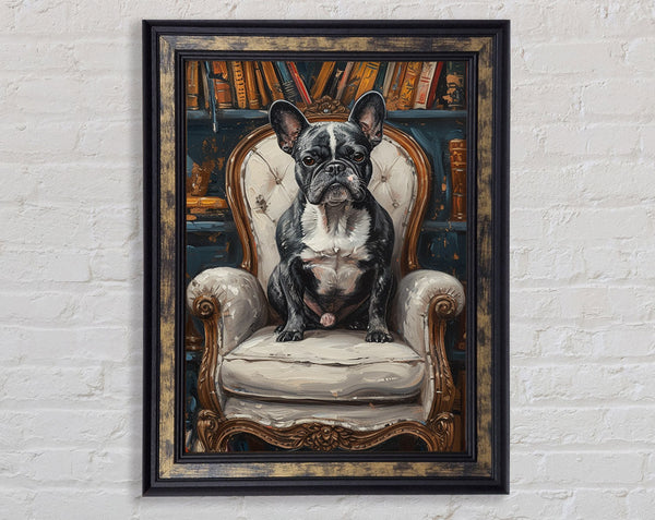 Frenchie Chair Framed Print