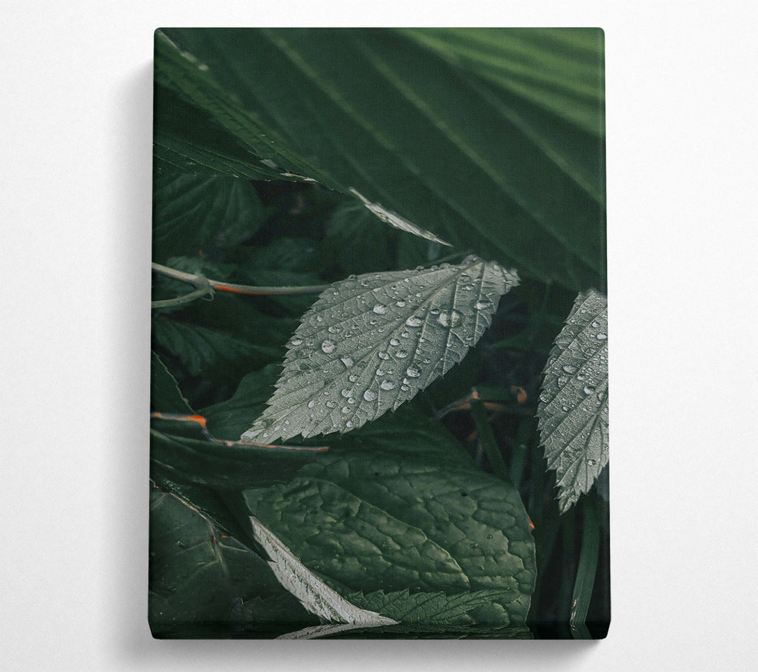  A Canvas Print of Emerald Dew Drops Canvas Wall Art