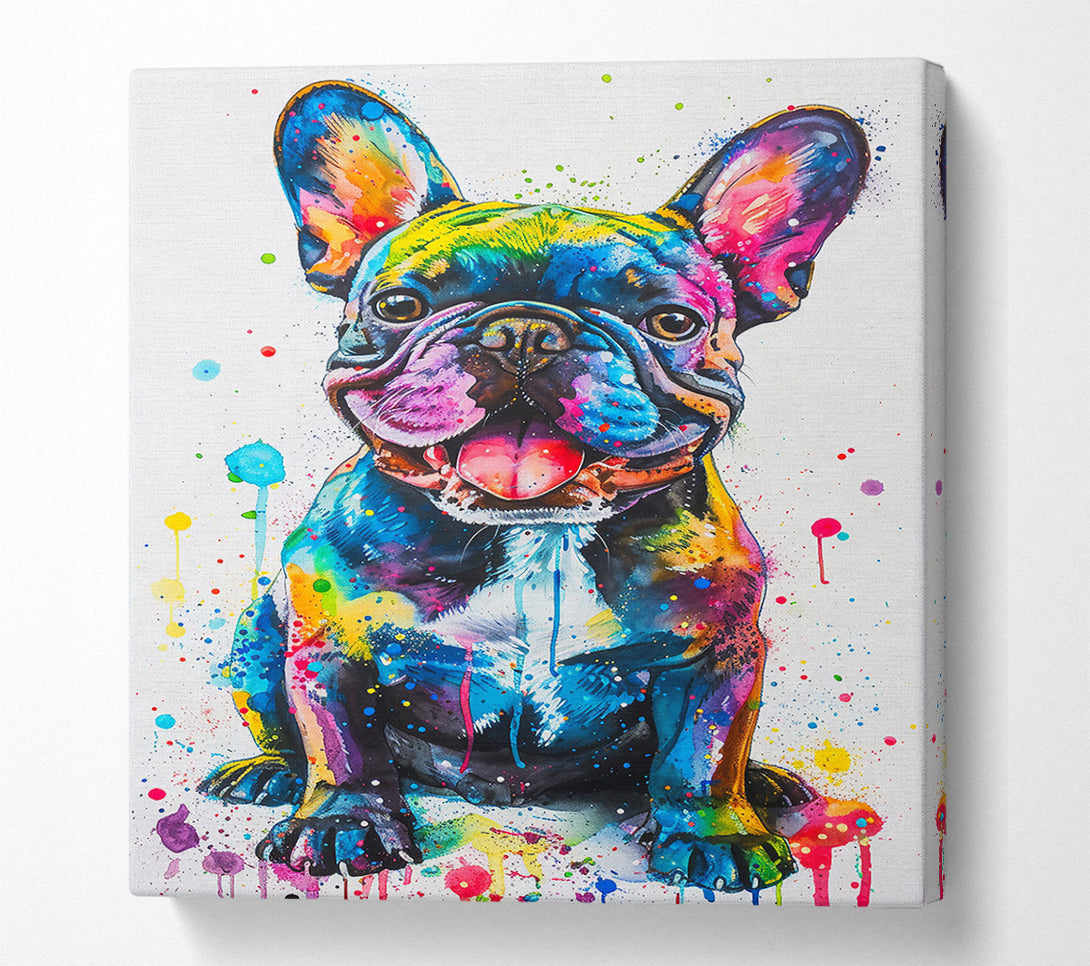  A Canvas Print of Blue Frenchie Splash Canvas Art
