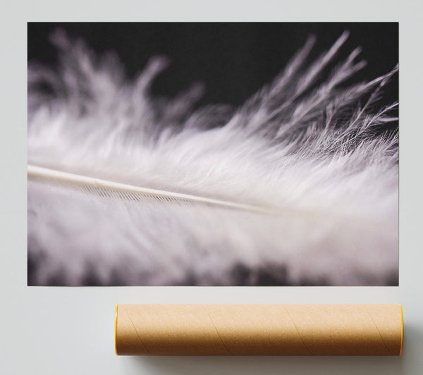 White Feather Lightness Poster
