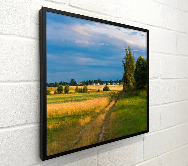 Golden Field Pathway