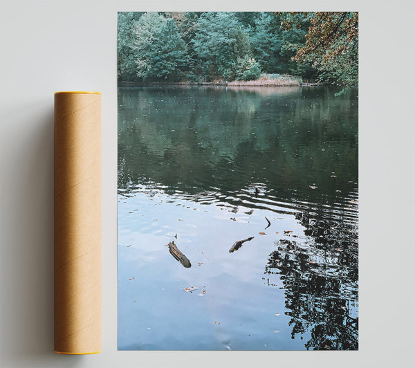 Serene Blue Reflections Poster