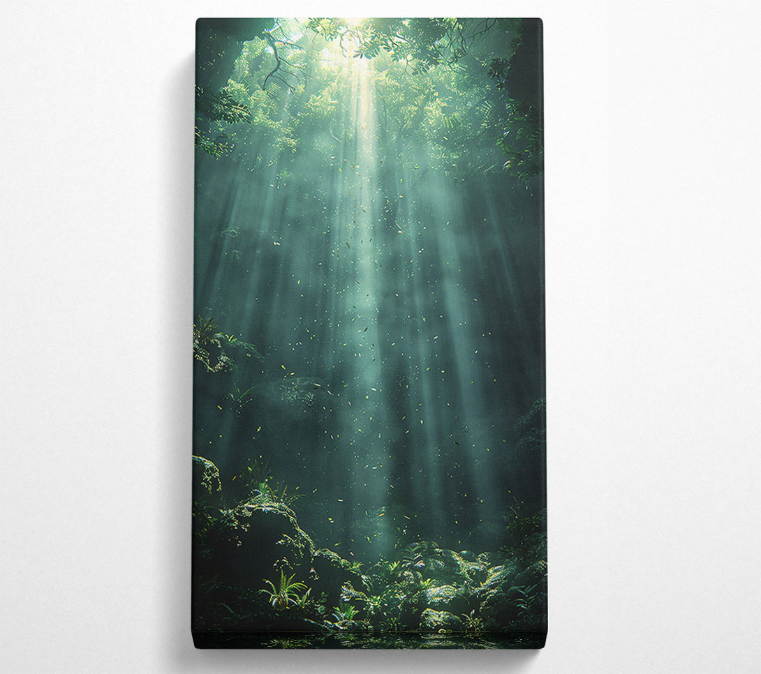  A Canvas Print of Emerald Forest Light Canvas Print