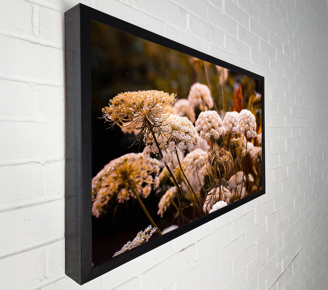  A Canvas Print of White Lace In The Sunset Canvas Print