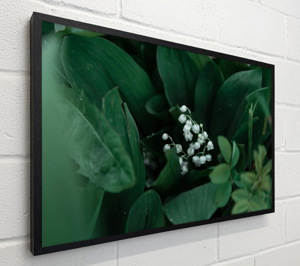 Emerald Lily Bloom