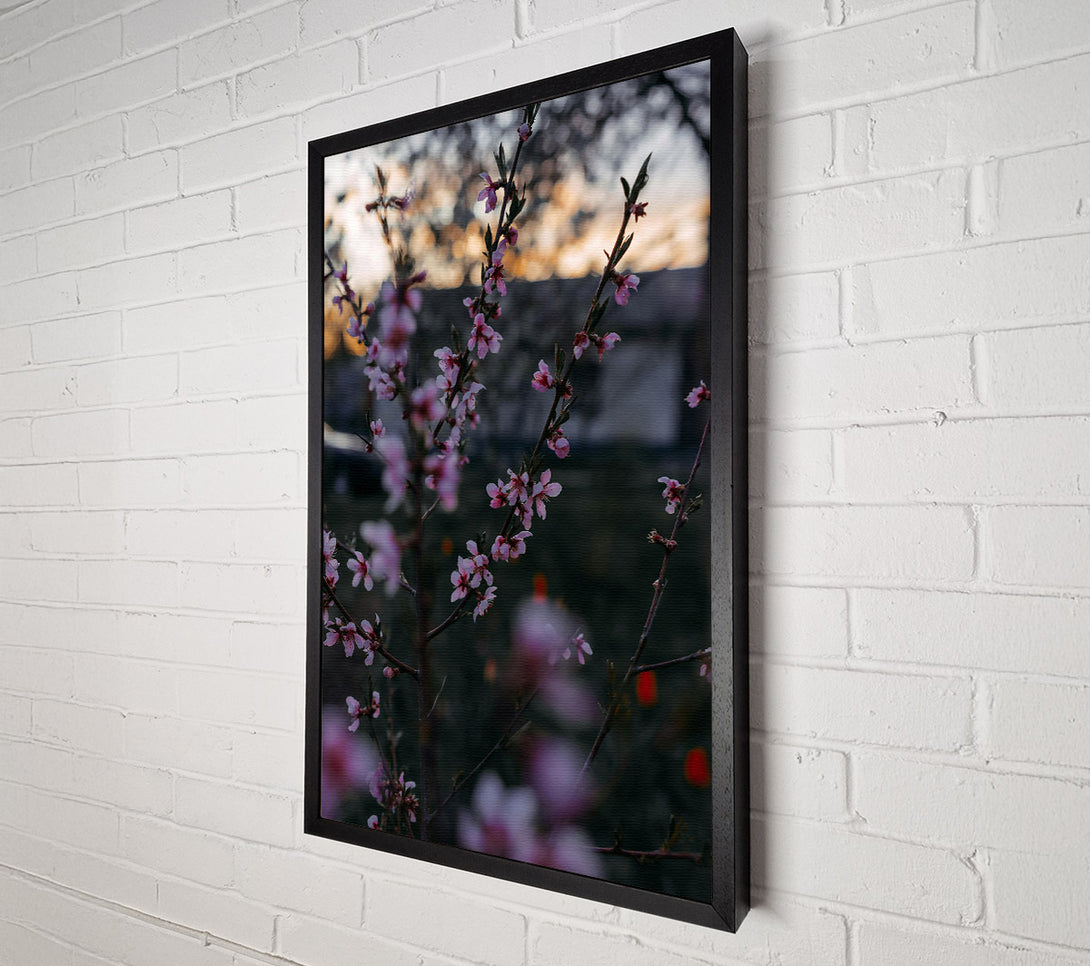  A Canvas Print of Pink Spring Blossoms Canvas Art