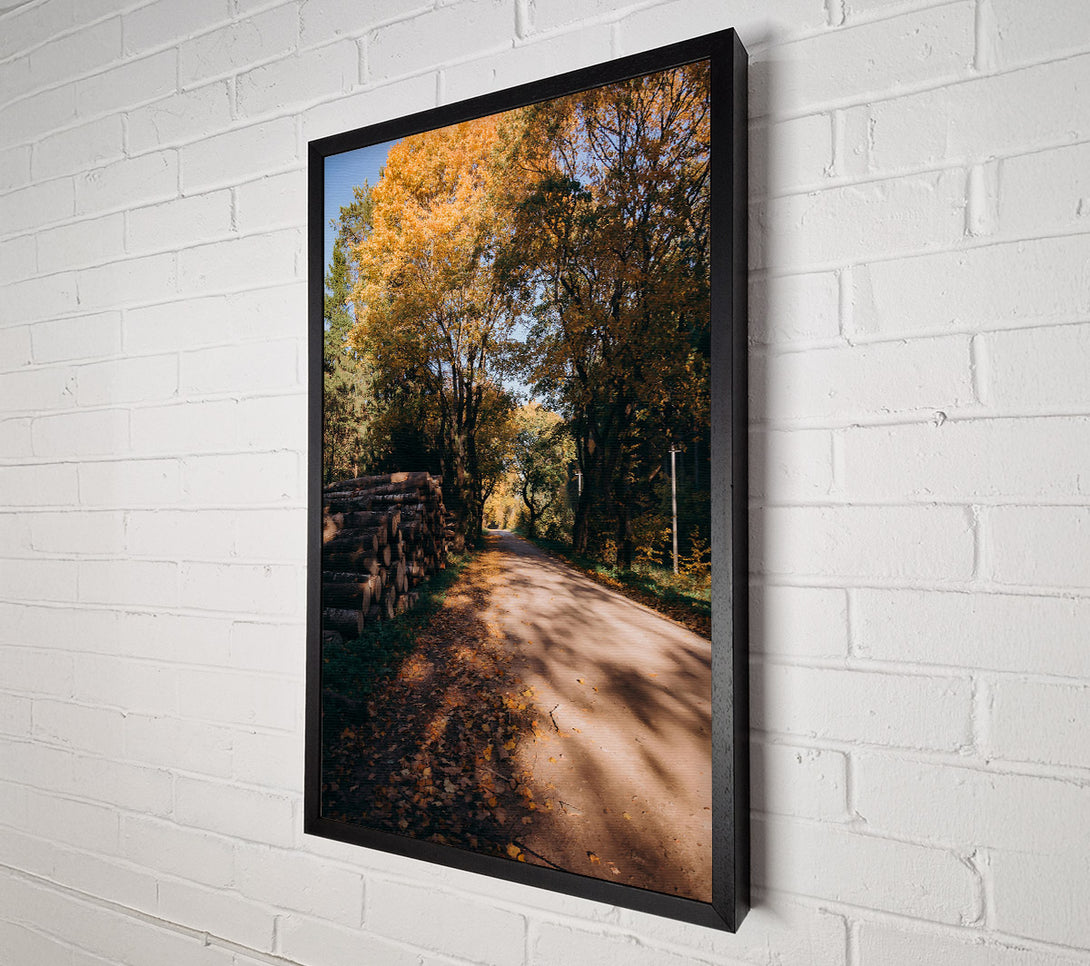  A Canvas Print of Golden Path Through Woods Canvas Wall Art