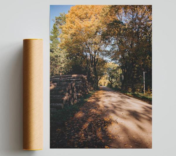 Golden Path Through Woods Giclee Print