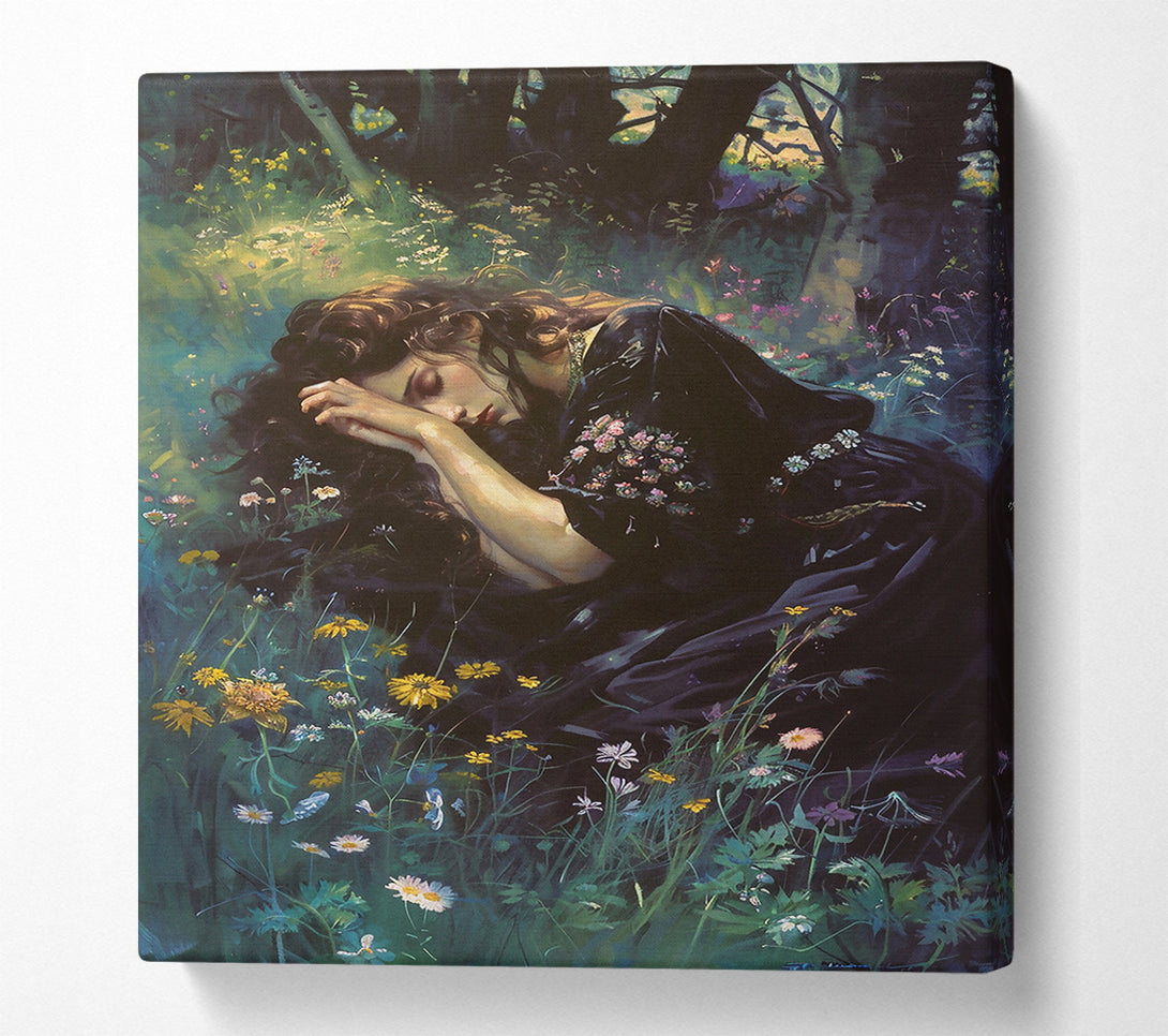 A Canvas Print of Black Velvet Slumber Canvas Art