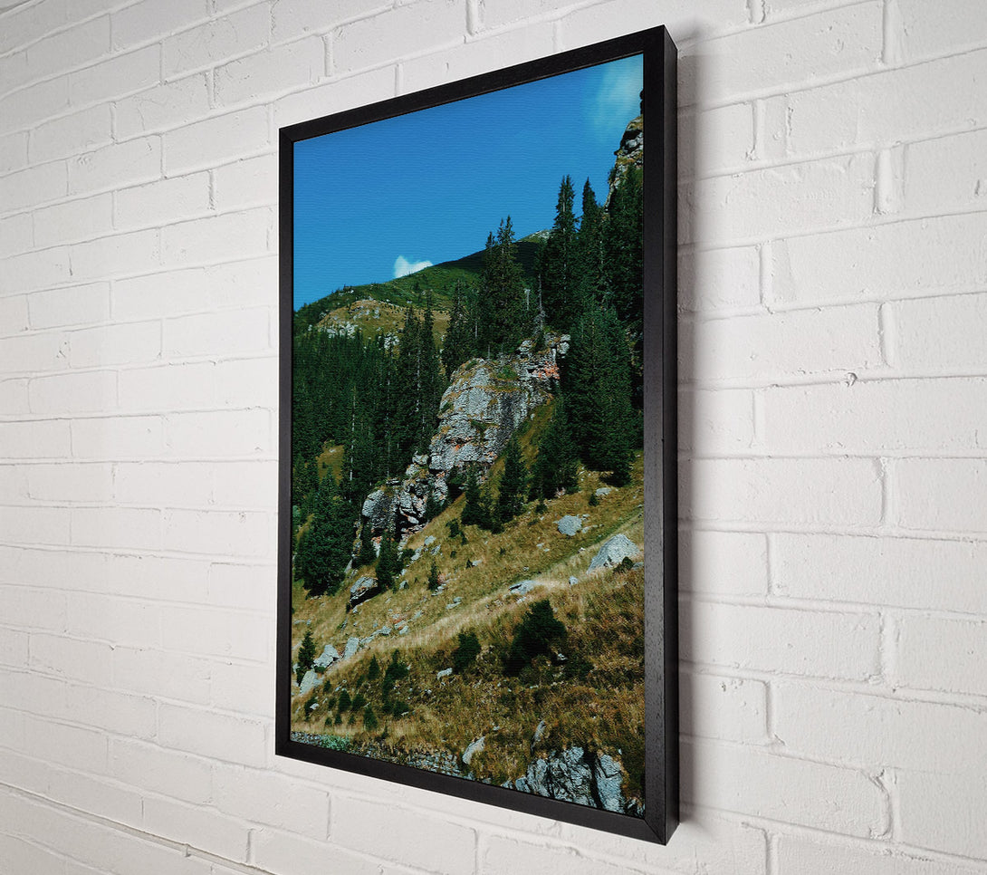  A Canvas Print of Grey Mountainside Pines Canvas Wall Art