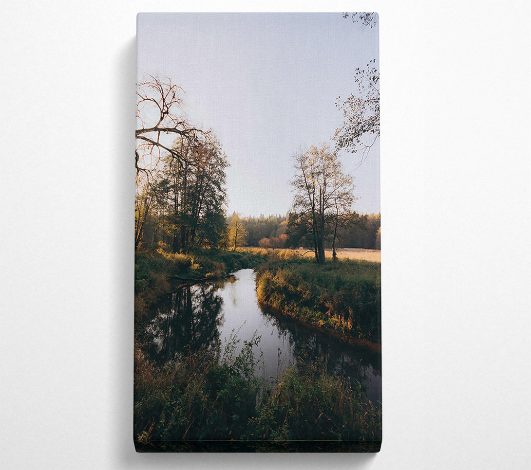  A Canvas Print of Golden River Bend Canvas Print