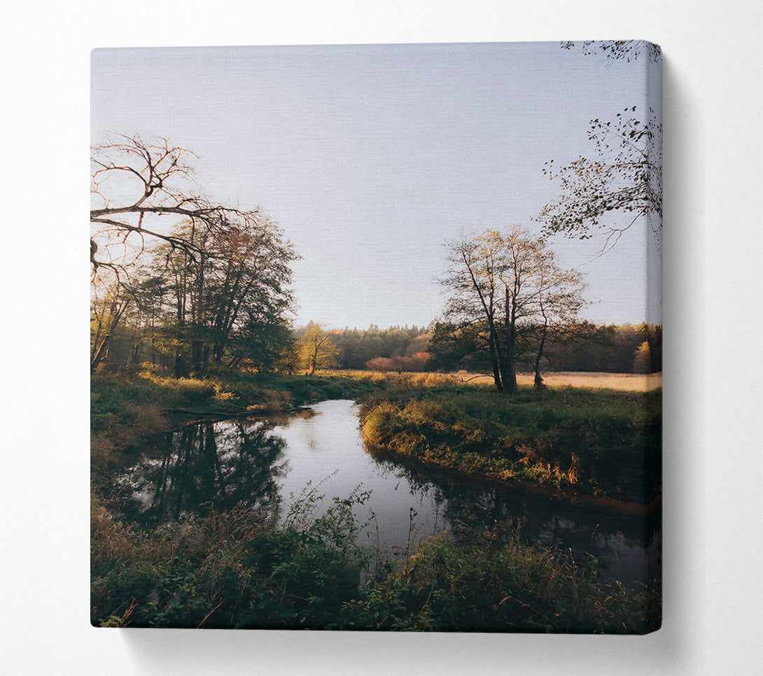  A Canvas Print of Golden River Bend Canvas Print