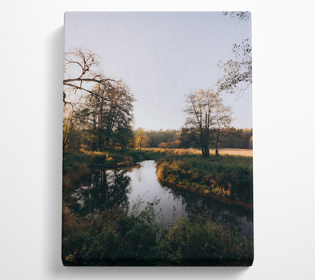  A Canvas Print of Golden River Bend Canvas Print