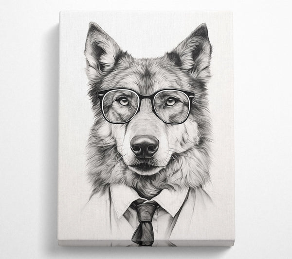 Black And White Wolf In Glasses