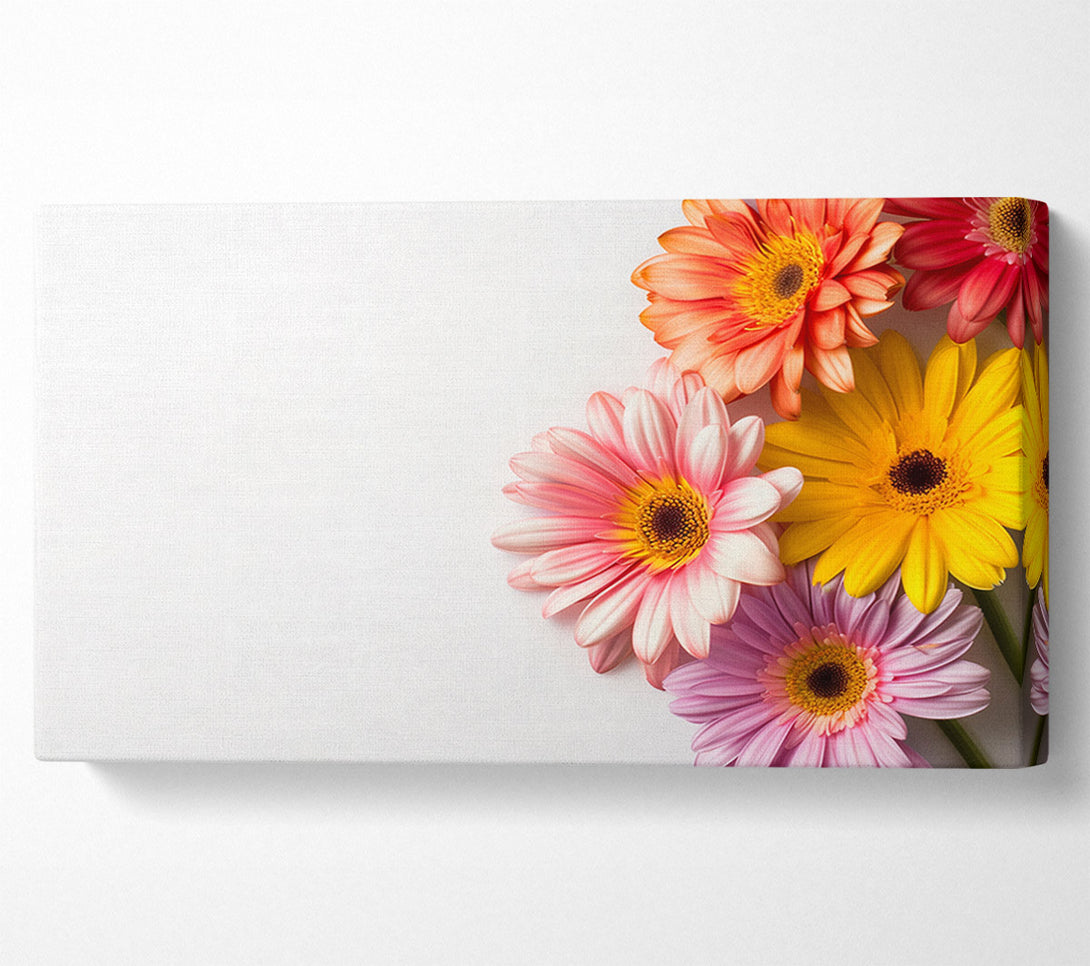  A Canvas Print of Gerbera Gathering Canvas Wall Art
