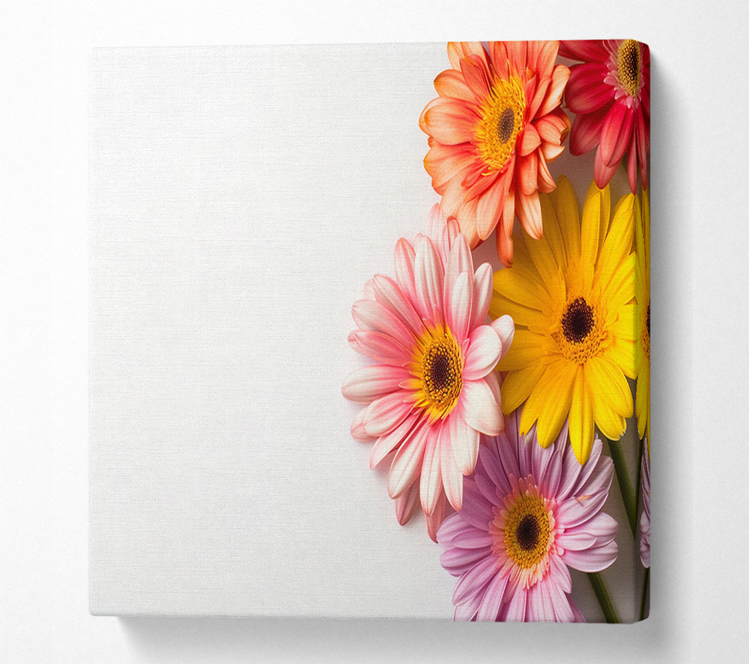  A Canvas Print of Gerbera Gathering Canvas Wall Art