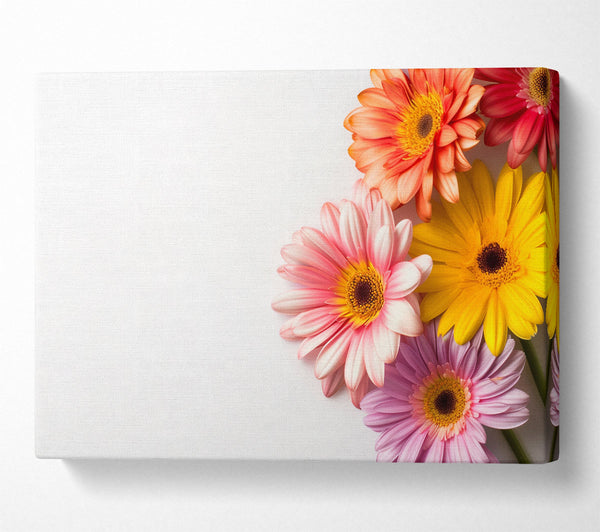  A Canvas Print of Gerbera Gathering Canvas Wall Art