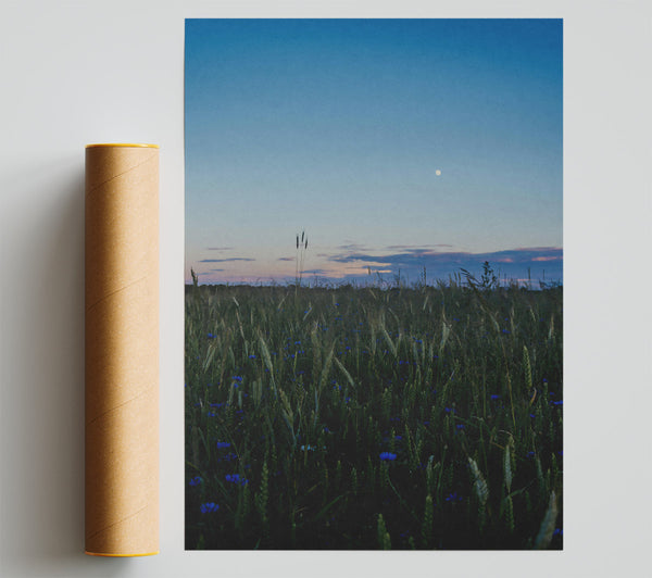 Blue Dusk Field Print
