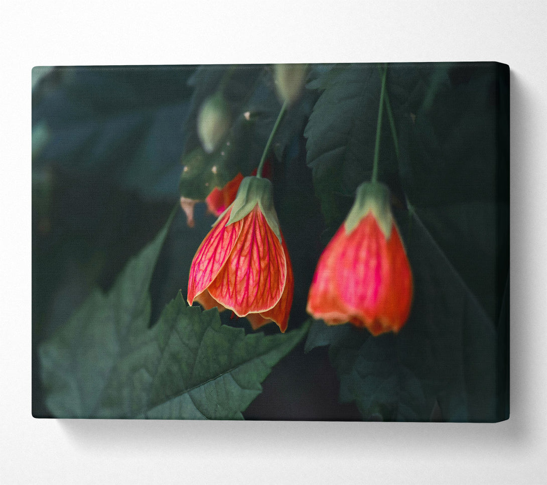  A Canvas Print of Crimson Bloom'S Embrace Canvas Wall Art