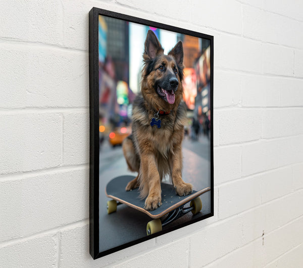 German Shepherd On A Skateboard