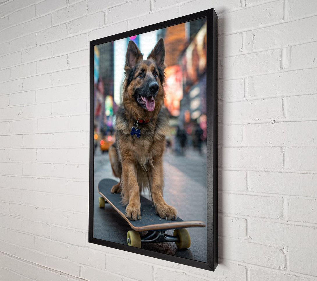  A Canvas Print of German Shepherd On A Skateboard Canvas Print