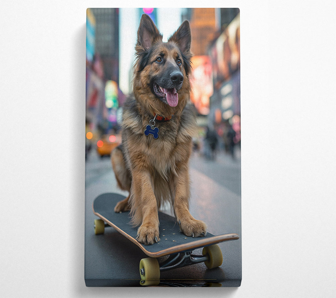  A Canvas Print of German Shepherd On A Skateboard Canvas Print