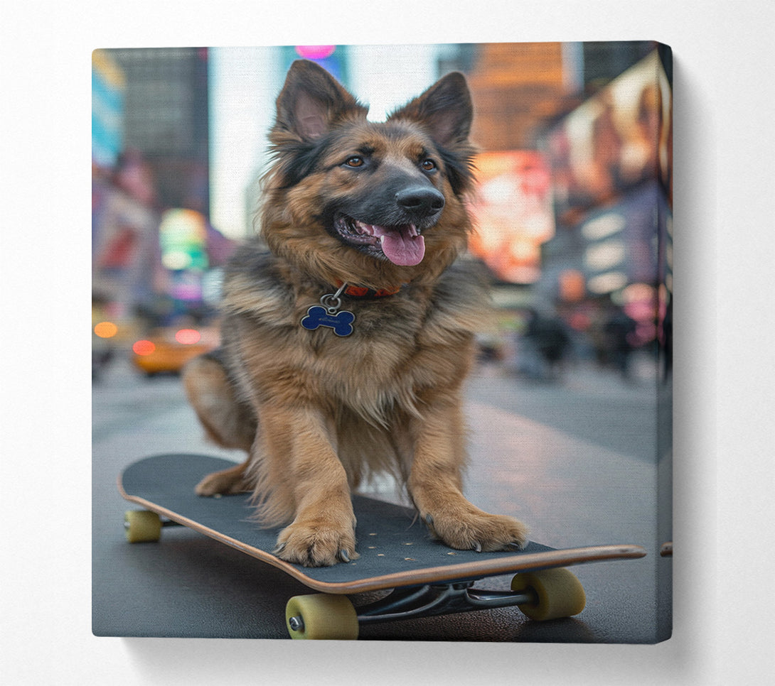  A Canvas Print of German Shepherd On A Skateboard Canvas Print