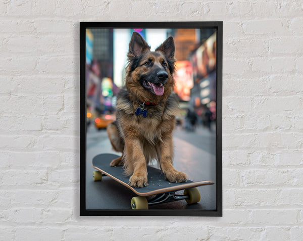 German Shepherd On A Skateboard Framed Print