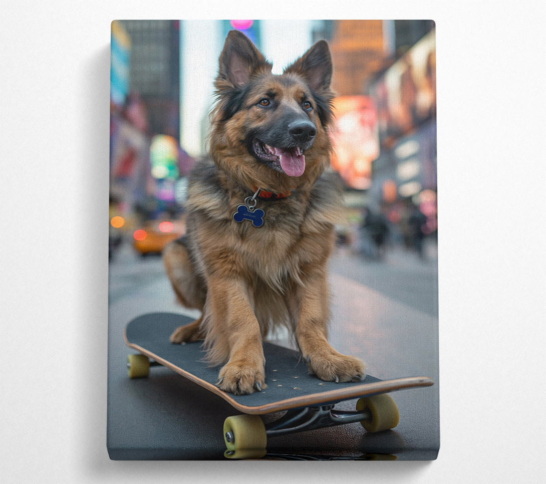  A Canvas Print of German Shepherd On A Skateboard Canvas Print