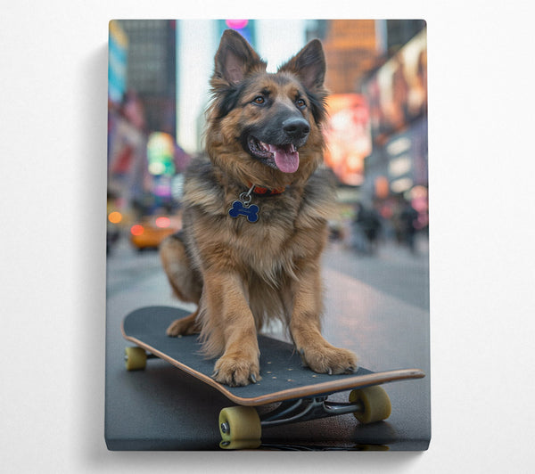  A Canvas Print of German Shepherd On A Skateboard Canvas Print